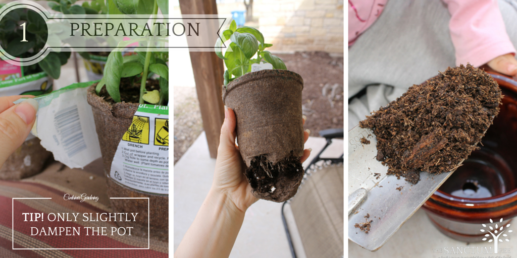 Container Gardening: preparation. How to plant biodegradable pots. Read more at SanctumTree.com